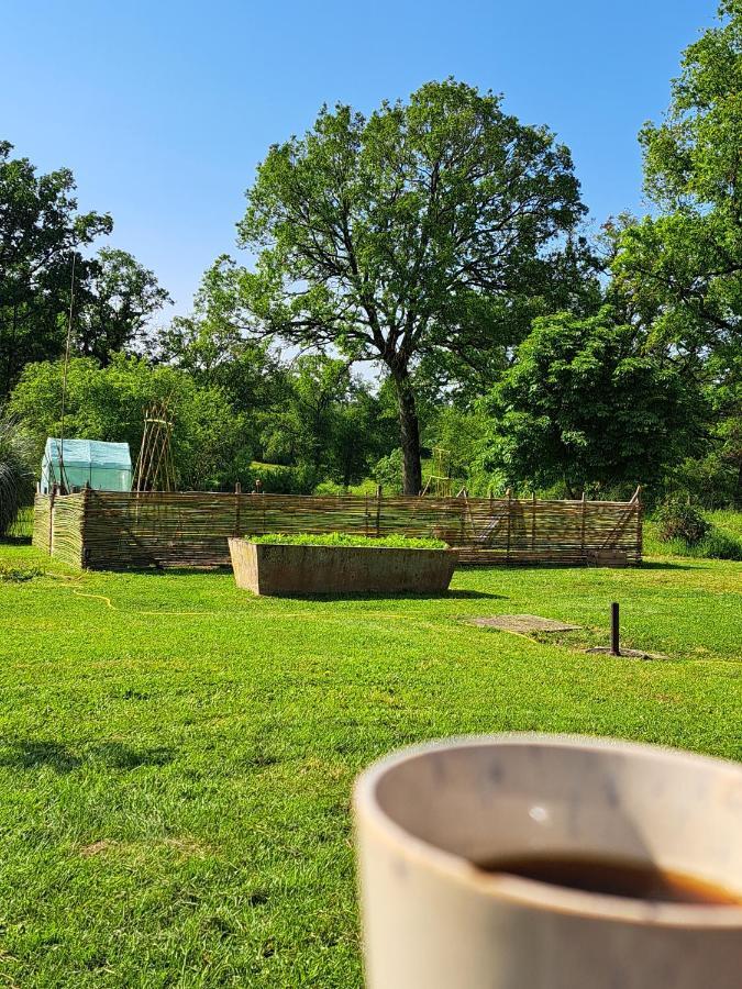 Chez Nous Bed & Breakfast Brigueil-le-Chantre Luaran gambar