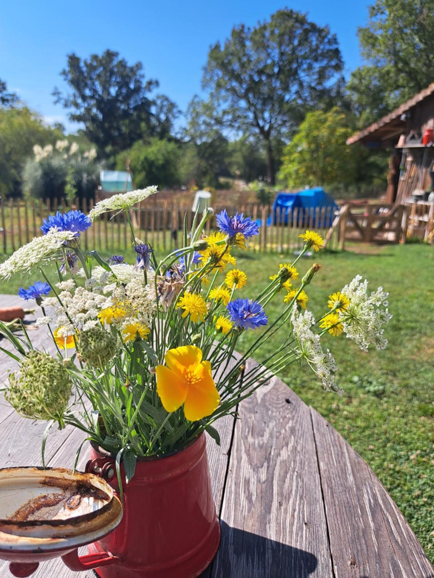 Chez Nous Bed & Breakfast Brigueil-le-Chantre Luaran gambar