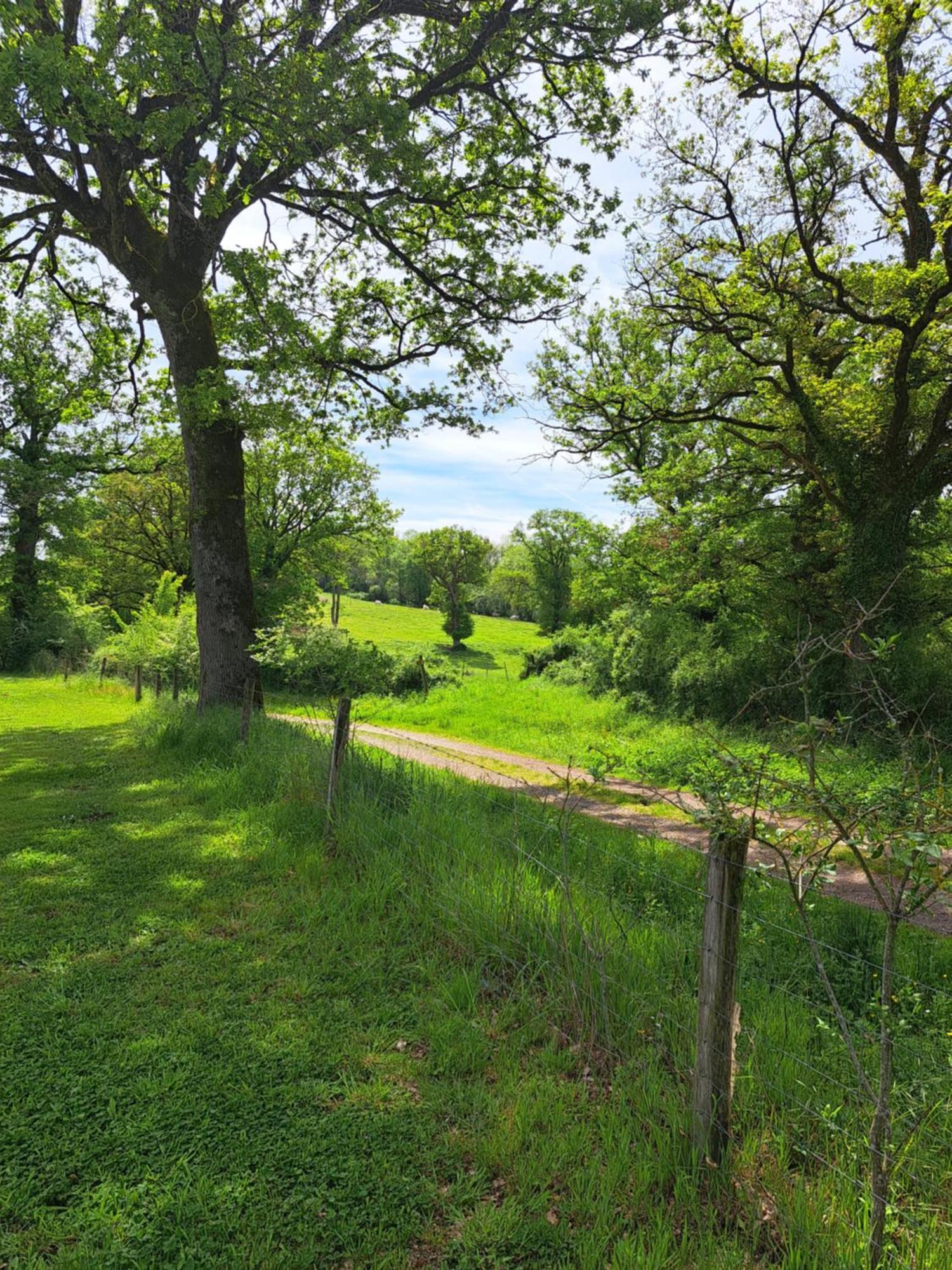 Chez Nous Bed & Breakfast Brigueil-le-Chantre Luaran gambar